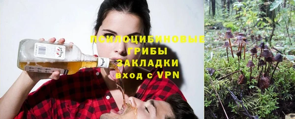 МДМА Горнозаводск
